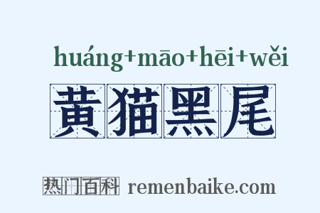 黄猫黑尾是什么意思的图片